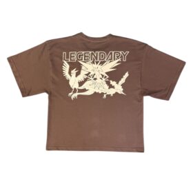 Camiseta Boxy Fit Pokemones Legendarios