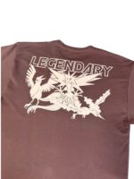 Camiseta Boxy Fit Pokemones Legendarios - Imagen 3