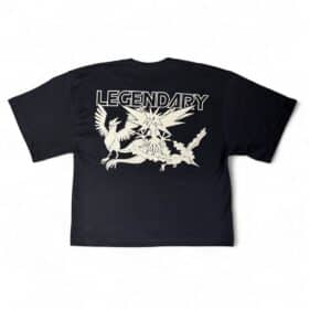 Camiseta Boxy Fit Pokemones Legendarios Negra